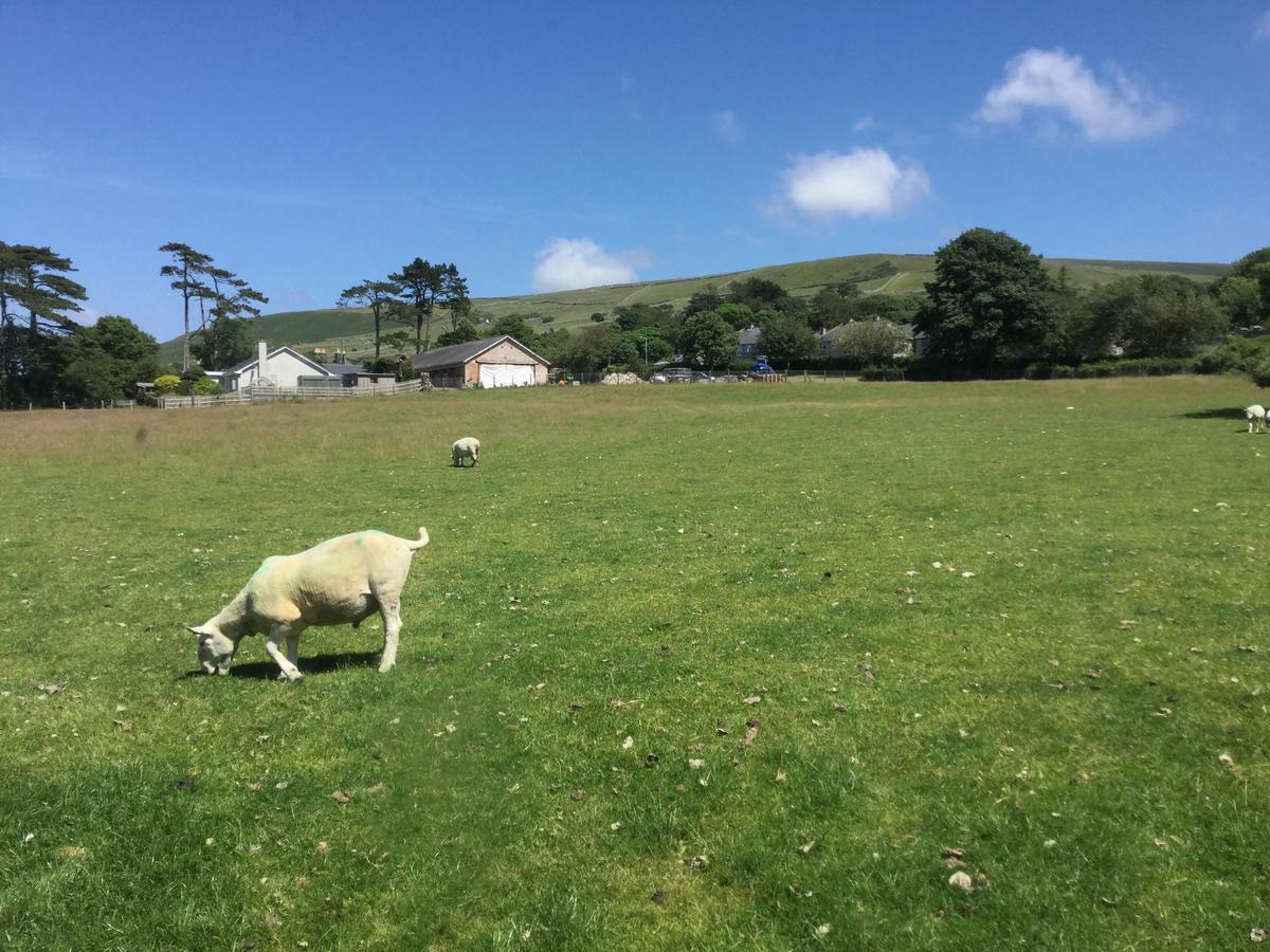 Plas Y Nant Llwyngwril Eksteriør bilde